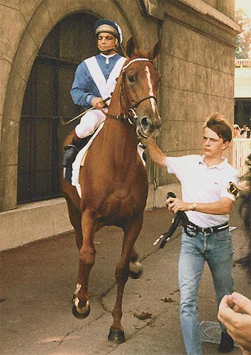 Fitnah (Guy Guignard) se rendant au départ du Prix d'Ispahan 1986 à Longchamp